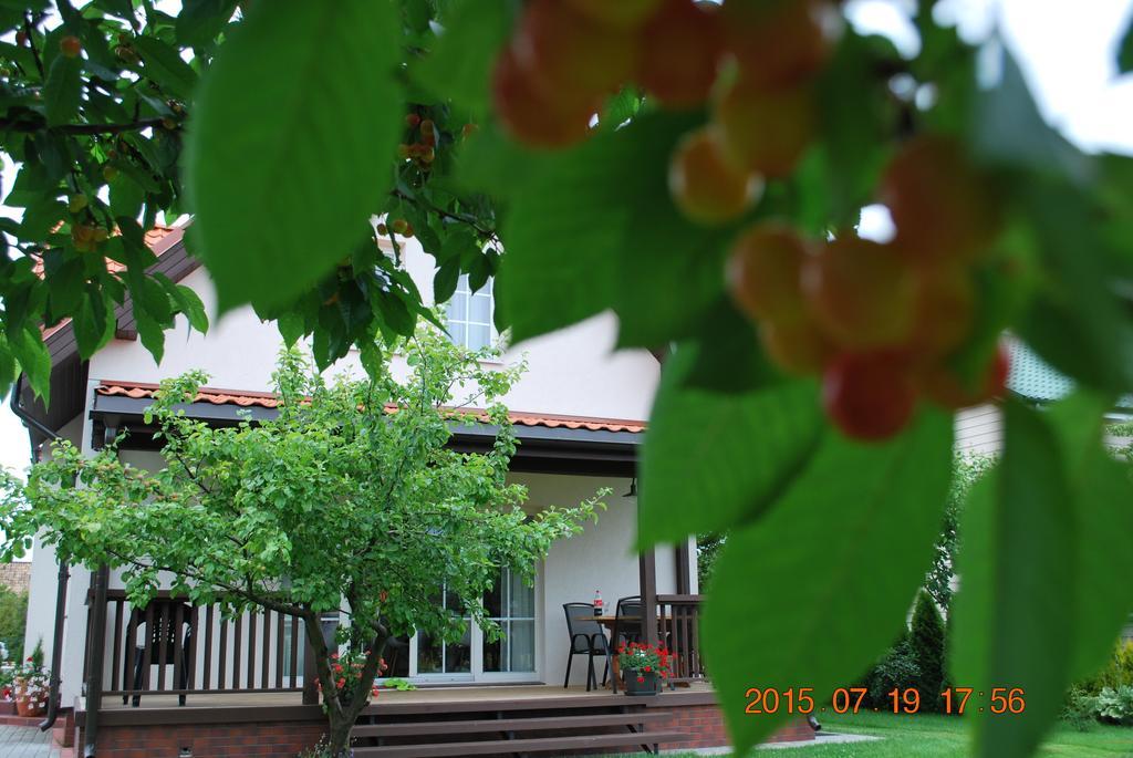 Vila Joana Паланга Экстерьер фото